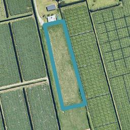 351C Matapihi Road, Matapihi, Tauranga