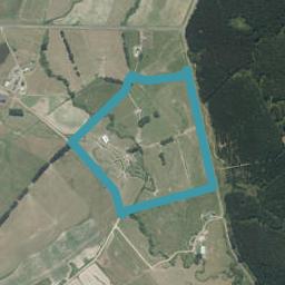 457 Kopuku Road, Maramarua Forest