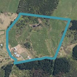 202C Cames Road, Mangawhai, Wellsford