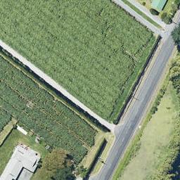 118B Wairoa Road, Minden, Tauranga