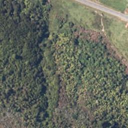 0 Haupiri Junction Road, Hochstetter, Moana
