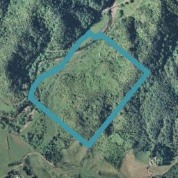 518 Motu Road, Toatoa, Ōpōtiki