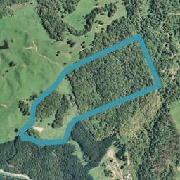 339A Mangatoi Road, Oropi, Oropi