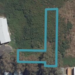 10 Gecko Lane, Hamilton Lake, Hamilton