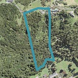 215 Three Oaks Drive, Albany