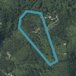 1080 Buffalo Road, Coromandel
