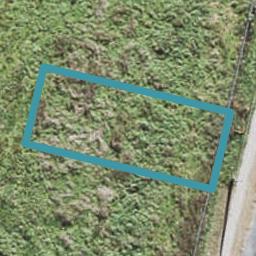 173 Totara Road, Whenuapai, Auckland