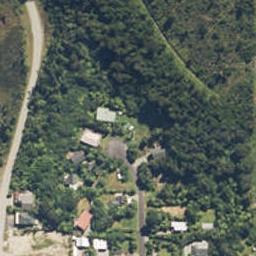 19 Punga Grove, Lake Kaniere, Hokitika