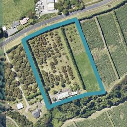 81 Wharawhara Road, Tahawai, Katikati