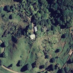443D State Highway 2, Waiotahe, Ōpōtiki