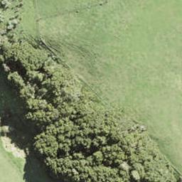 8 Pa Tuna Lane, Warkworth, Warkworth