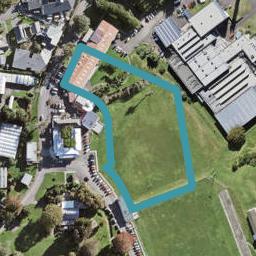 81 Carrington Road, Point Chevalier, Auckland