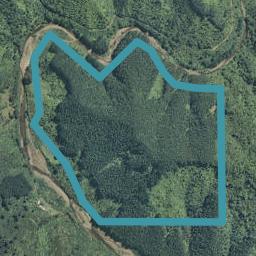 0 Tutaetoko Road, Toatoa, Opotiki