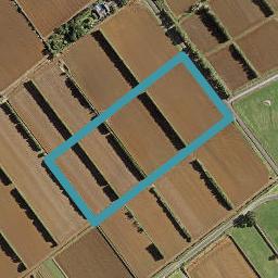 19 Calcutta Road, Pukekohe, Pukekohe