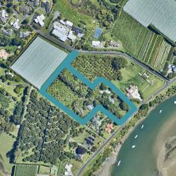 317 Plummers Point Road, Whakamarama, Tauranga
