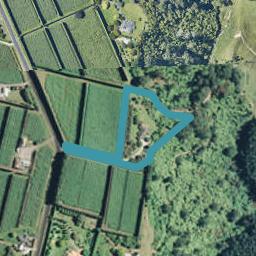 405 Belk Road, Omanawa, Tauranga