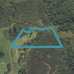 242 Punga Punga Road, Taukau, taukau