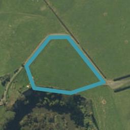 215 Davidson Road, Te Poi, Matamata