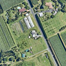 29 Prole Road, Omokoroa, Tauranga