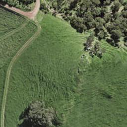 347 Gordons Road, Waiheke Island, Waiheke Island