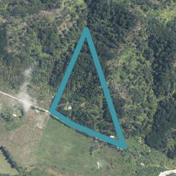 603 Wangapeka Road, Little Wanganui, Karamea
