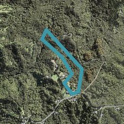 99 Albany Heights Road, Albany