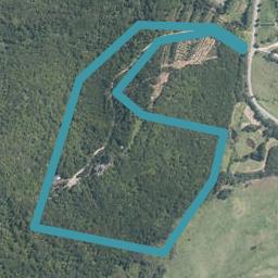 291 Ody Road, WHANGAREI HEADS