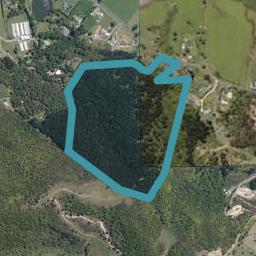 500 Crane Road, Kauri