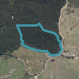 972 Bickerstaffe Road, Maungaturoto