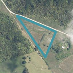560 Wangapeka Road, Little Wanganui, Karamea