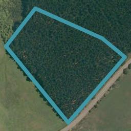 270 Austin Road, Dairy Flat, Dairy Flat