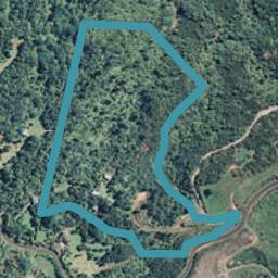 392C LUND ROAD, Aongatete, Western Bay Of Plenty