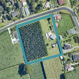 5 Wallace Road, Te Puna, Te Puna