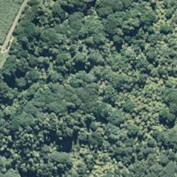 0 State Highway 35, Te Kaha, Te Kaha