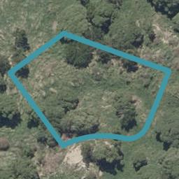 2 Kingfisher Place, Ocean Grove, Dunedin