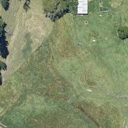 9 Sundell Place, Opotiki, Opotiki