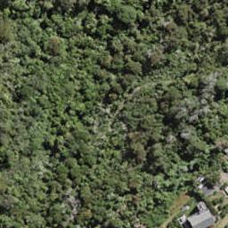 41 Miro Road, PALM BEACH, WAIHEKE ISLAND