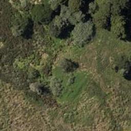 16 Royal Saint Annes Drive, Te Kamo, Whangārei