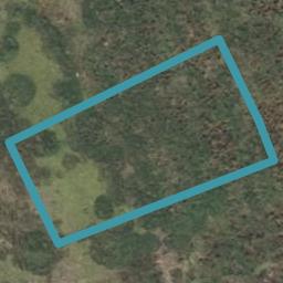 15 Halley Drive, Chartwell, Hamilton