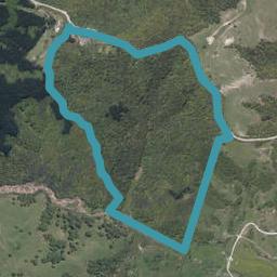 220 Birch Road, Ruawai, Matakohe