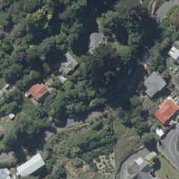 56 Buccleugh Street, North East Valley, Dunedin