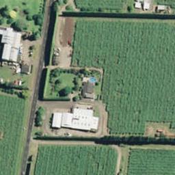 535 No 3 Road, Te Puke, Te Puke