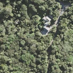 330 Wright Road, Albany