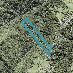 297 Forest Hill Road, Waiatarua, Auckland