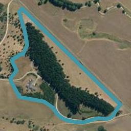 701 Wakarara Road, Ongaonga, Ongaonga