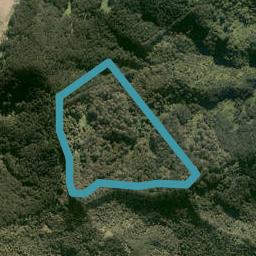 0 Honeymoon Valley Road, Peria, Kaitaia