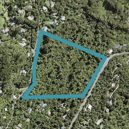 220 Shaw Road, Titirangi, Auckland
