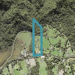 119 Bethells Road, Henderson