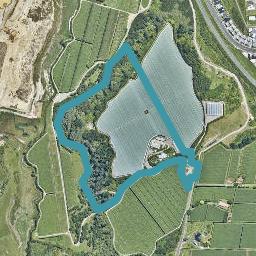 213 Keenan Road, Pyes Pa, Tauranga