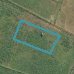 55 Hampton Terrace, Matamata, Matamata